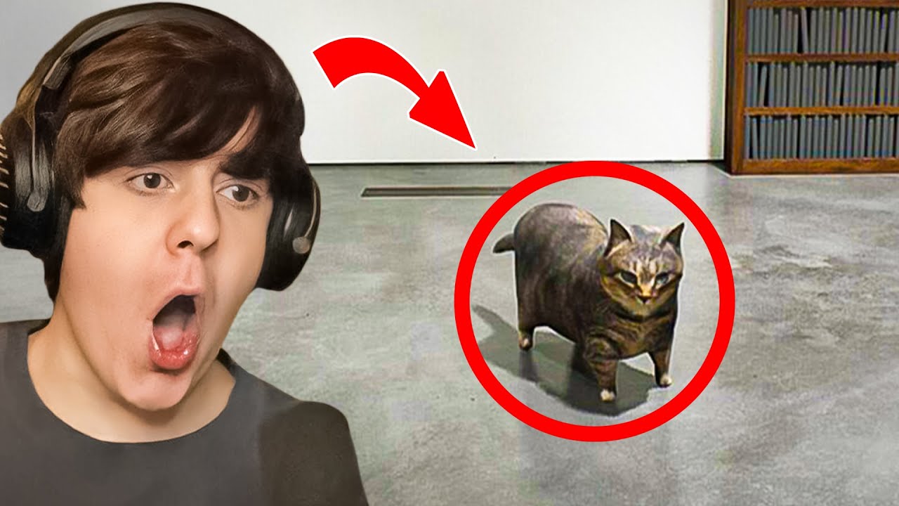 EVERY ANOMALY IN TWISTED GALLERY