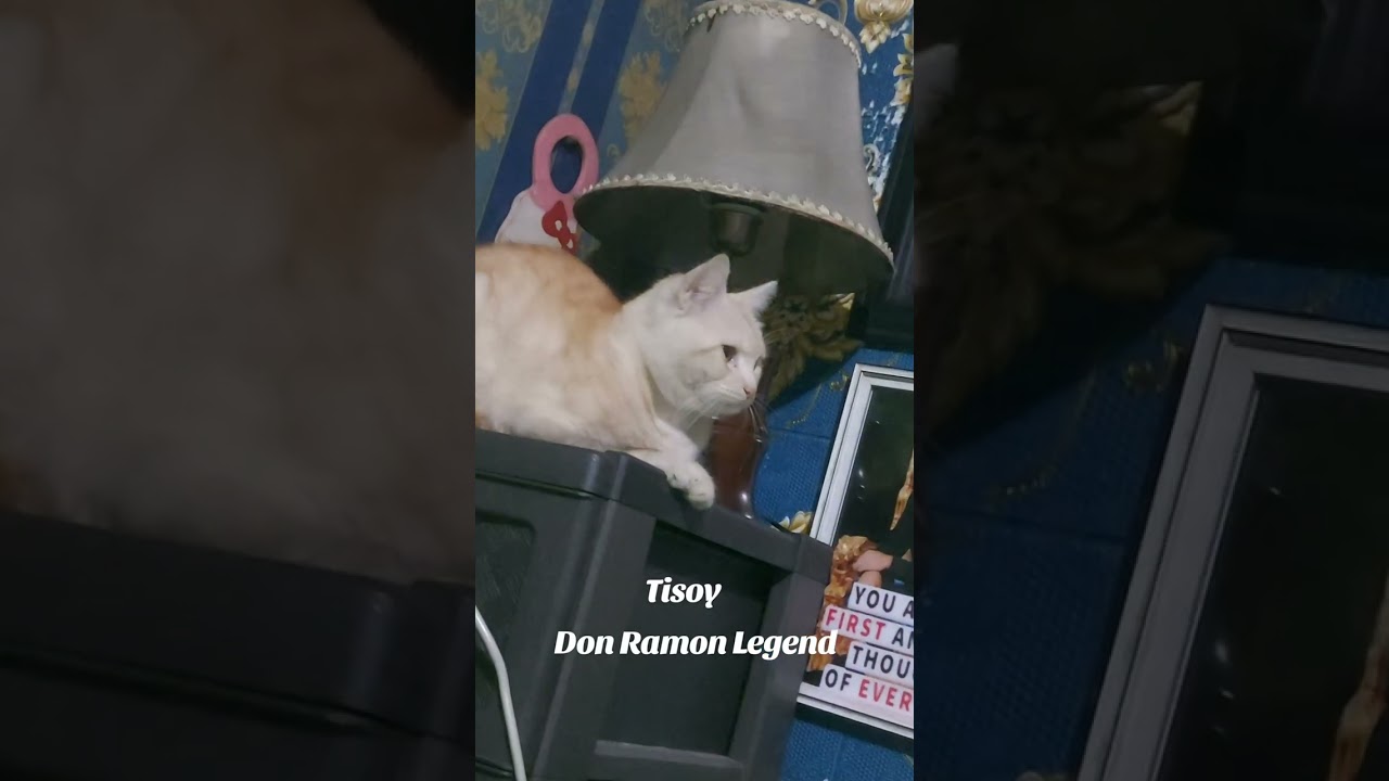 Tisoy ano nanaman ginagawa mo dyan 
