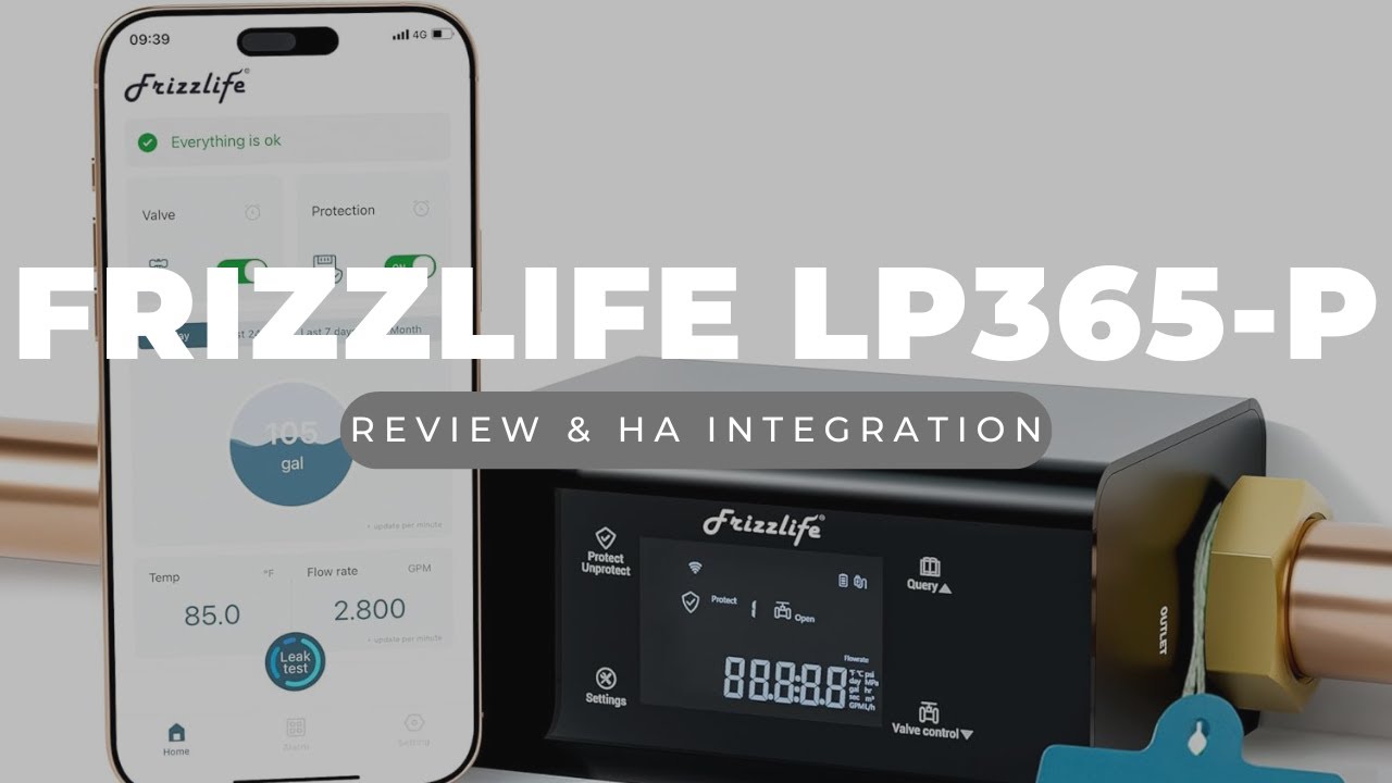 Dave's Tech Reviews - Frizzlife LP365-P Smart Water Monitor (Home Assistant)