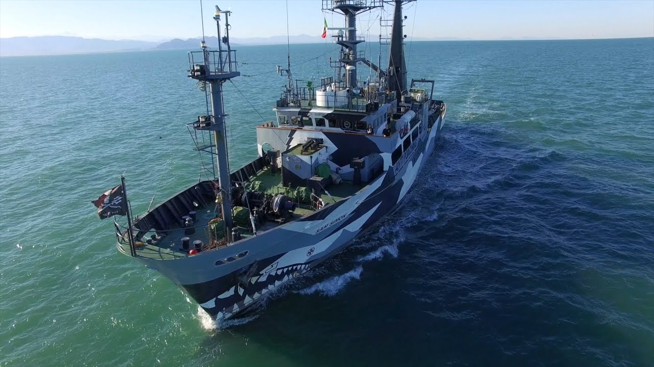M/V SAM SIMON: Operation Milagro III in the Gulf of California