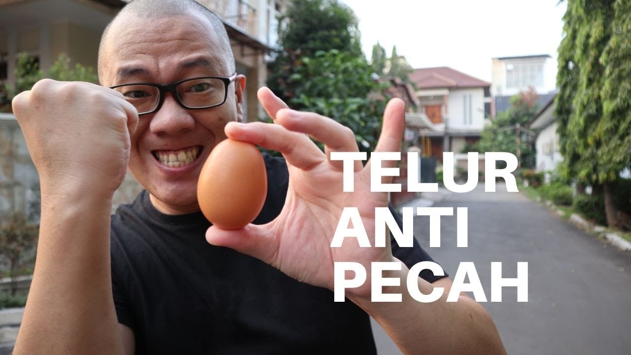 3 TRIK SULAP YANG KAMU PASTI BISA ‼️ (episode 11) #rynku