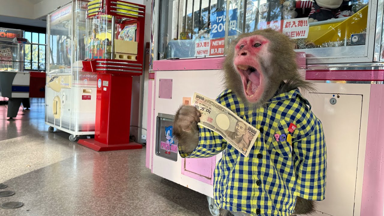 ゲーセンにお猿さんを連れて行ったら目立ちすぎたww