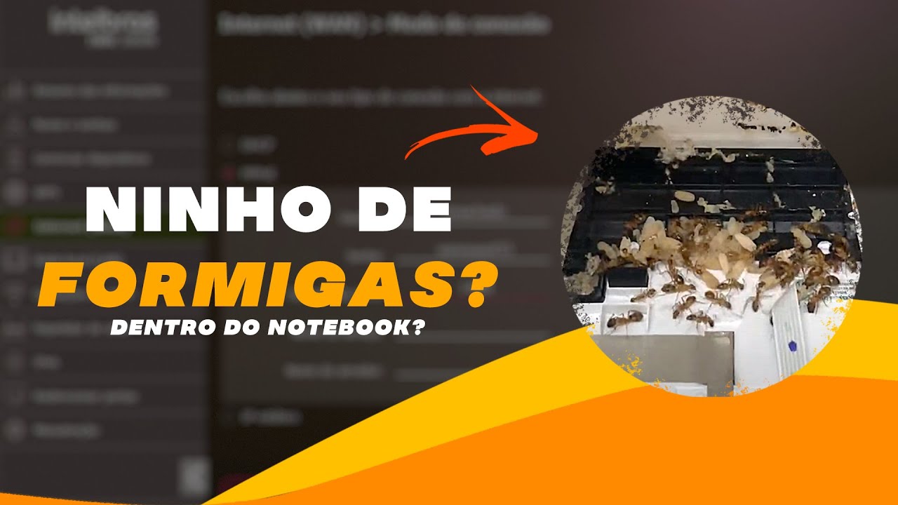 NINHO DE FORMIGAS DENTRO DO NOTEBOOK?? SERÁ????