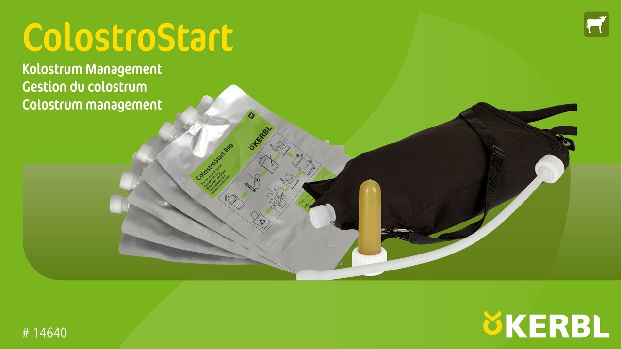ColostroStart - Работа с молозивом