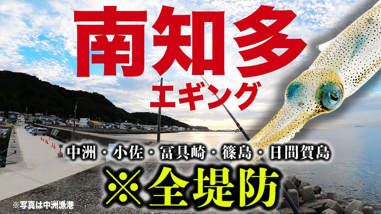 【まとめ11選】南知多の陸っぱりでエギングができる人気ポイント‼︎【中洲・冨具崎・小佐・篠島・日間賀島】