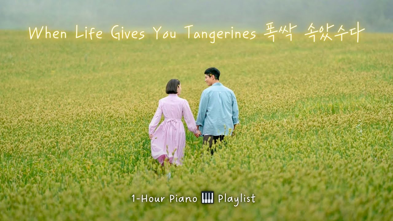 𝐏𝐥𝐚𝐲𝐥𝐢𝐬𝐭 | When Life Gives You Tangerines 폭싹속았수다 | OST & BGM Piano Album