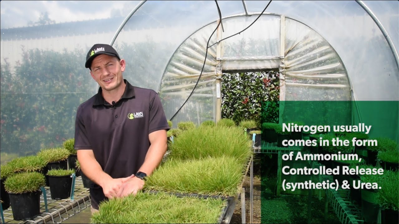 Lawn Maintenance Series E3 – Lawn Nutrition & Fertilising