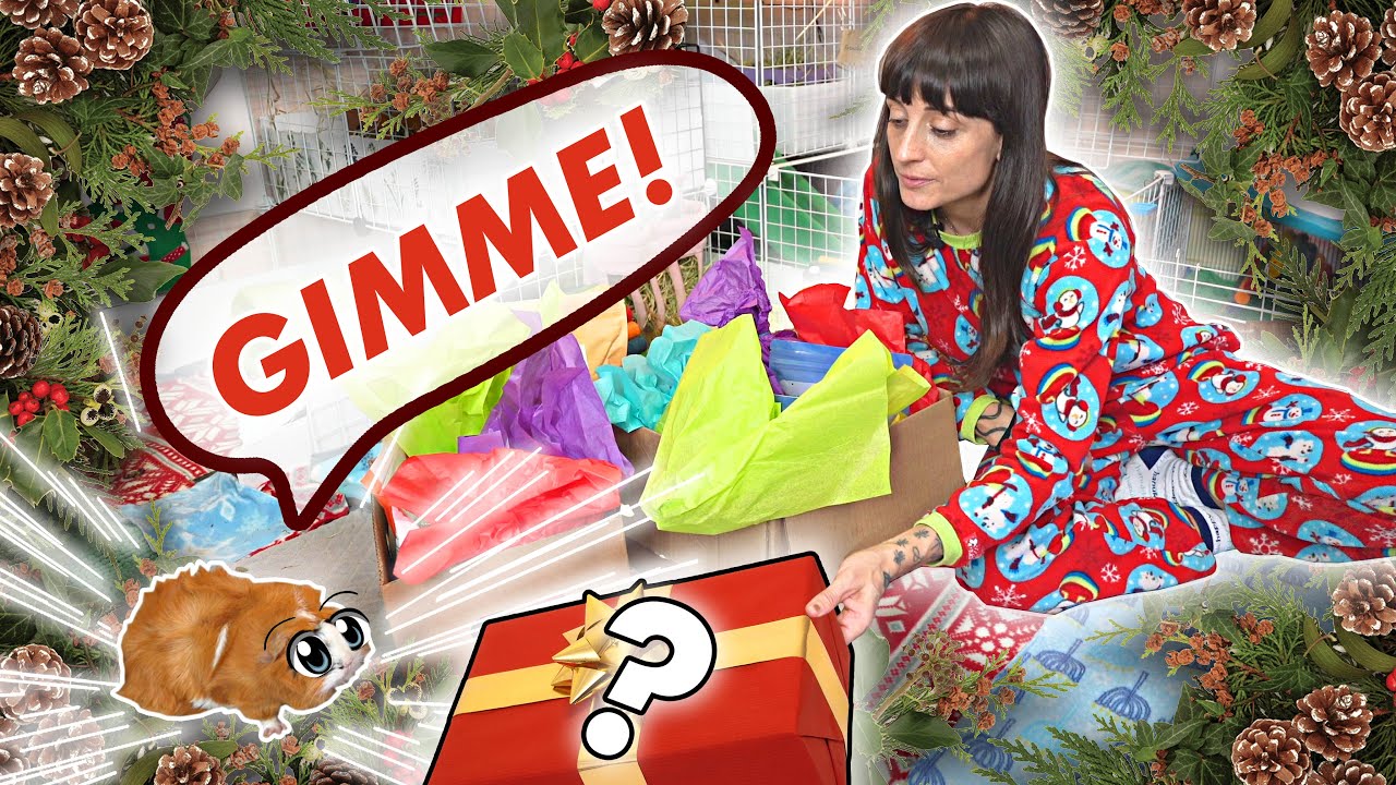 ЧТО МНЕ ПОДАРИЛИ НА РОЖДЕСТВО 2021 ГОДА | PIGMAS HAUL