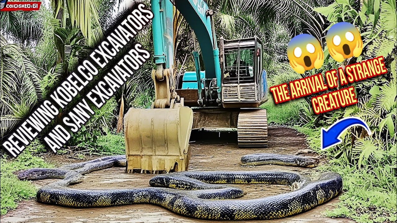 REVIEWING KOBELCO EXCAVATORS AND SANY EXCAVATORS THE ARRIVAL OF A STRANGE CREATURE || Excavator TV