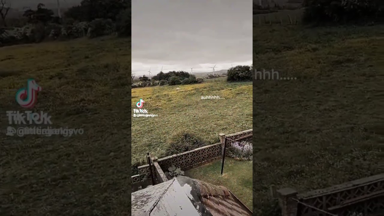 Steven the Scottish Horse