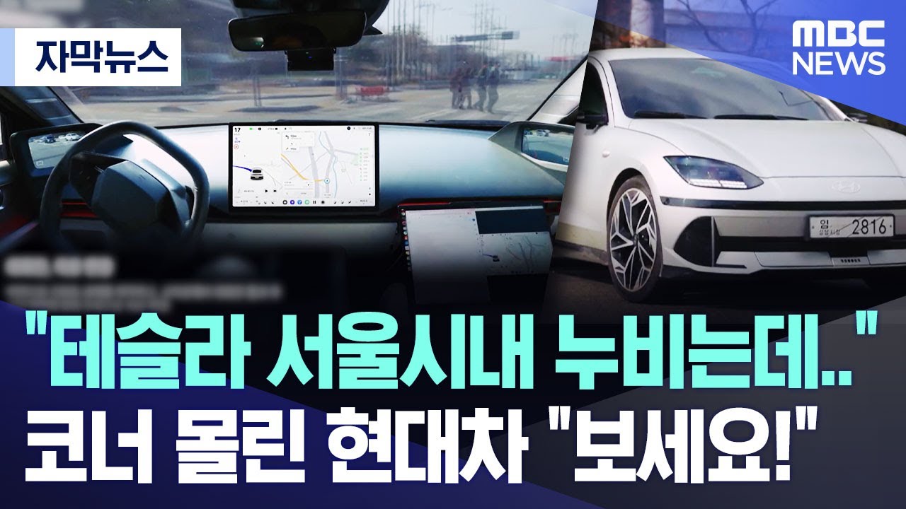 [자막뉴스] 
