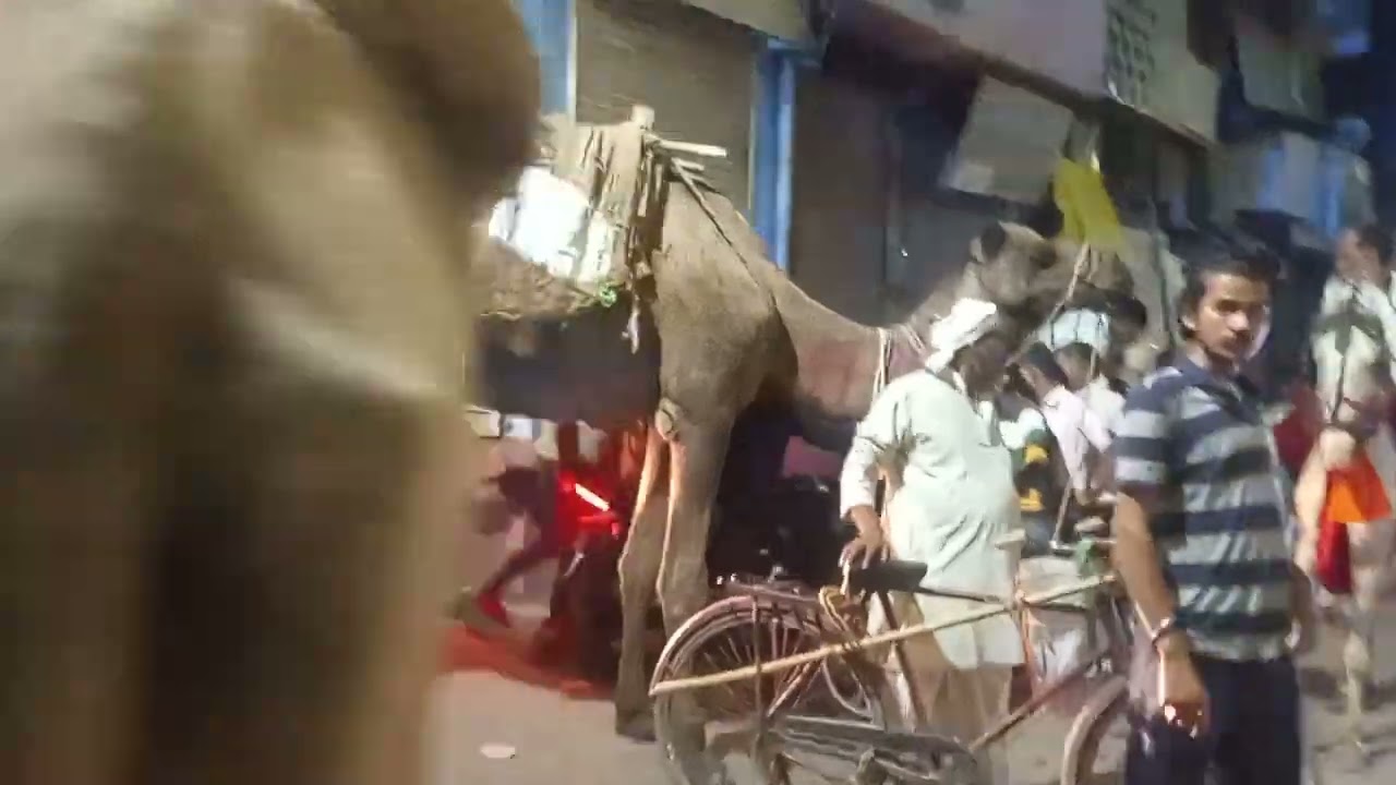 Sultanpur ka video status