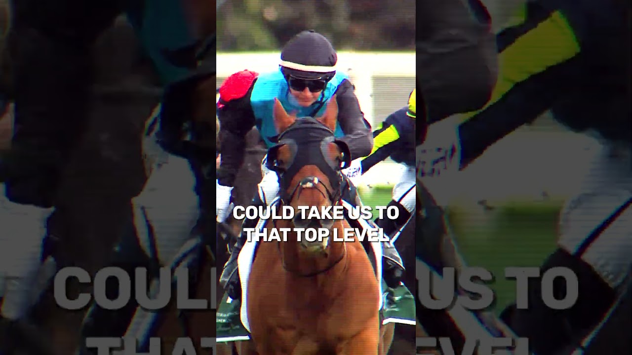 Can Anyone Stop Half Yours In The Caulfield Cup?