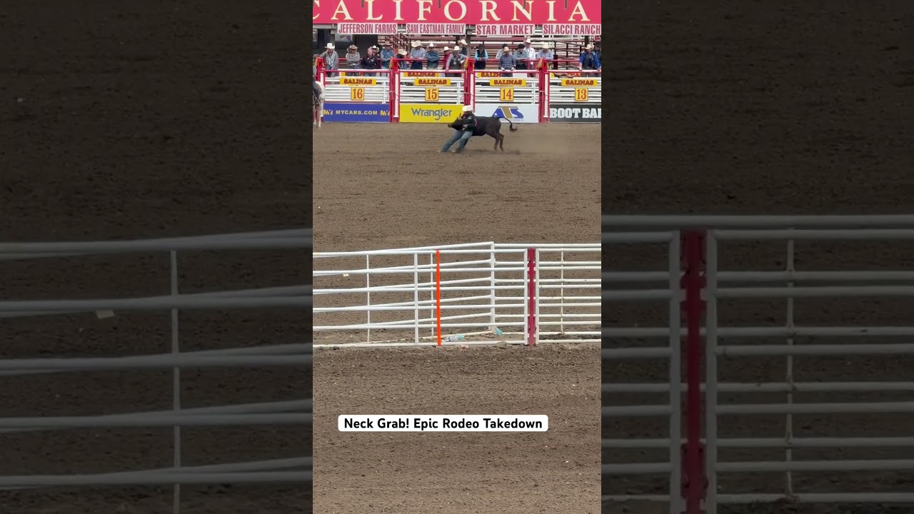 Cowboy Dive! Wild Rodeo Chase, CA Rodeo 