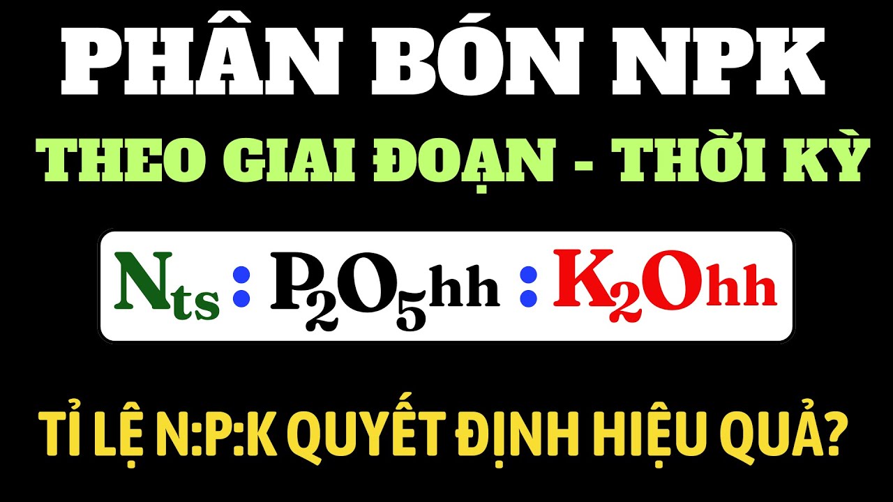 Chọn phân bón NPK theo tỉ lệ công thức phù hợp cho từng giai đoạn của  cây trồng | Rất quan trọng