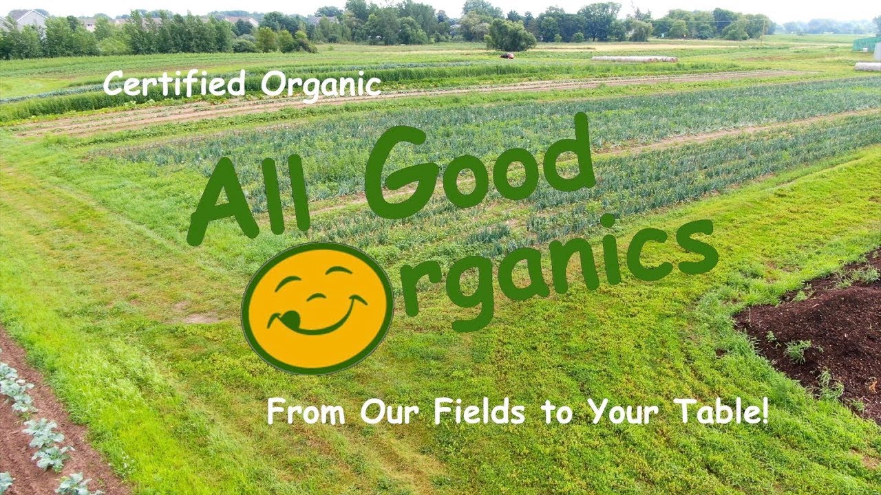 08 20 2019   All Good Organics  - Certified Organic Vegetables and More!