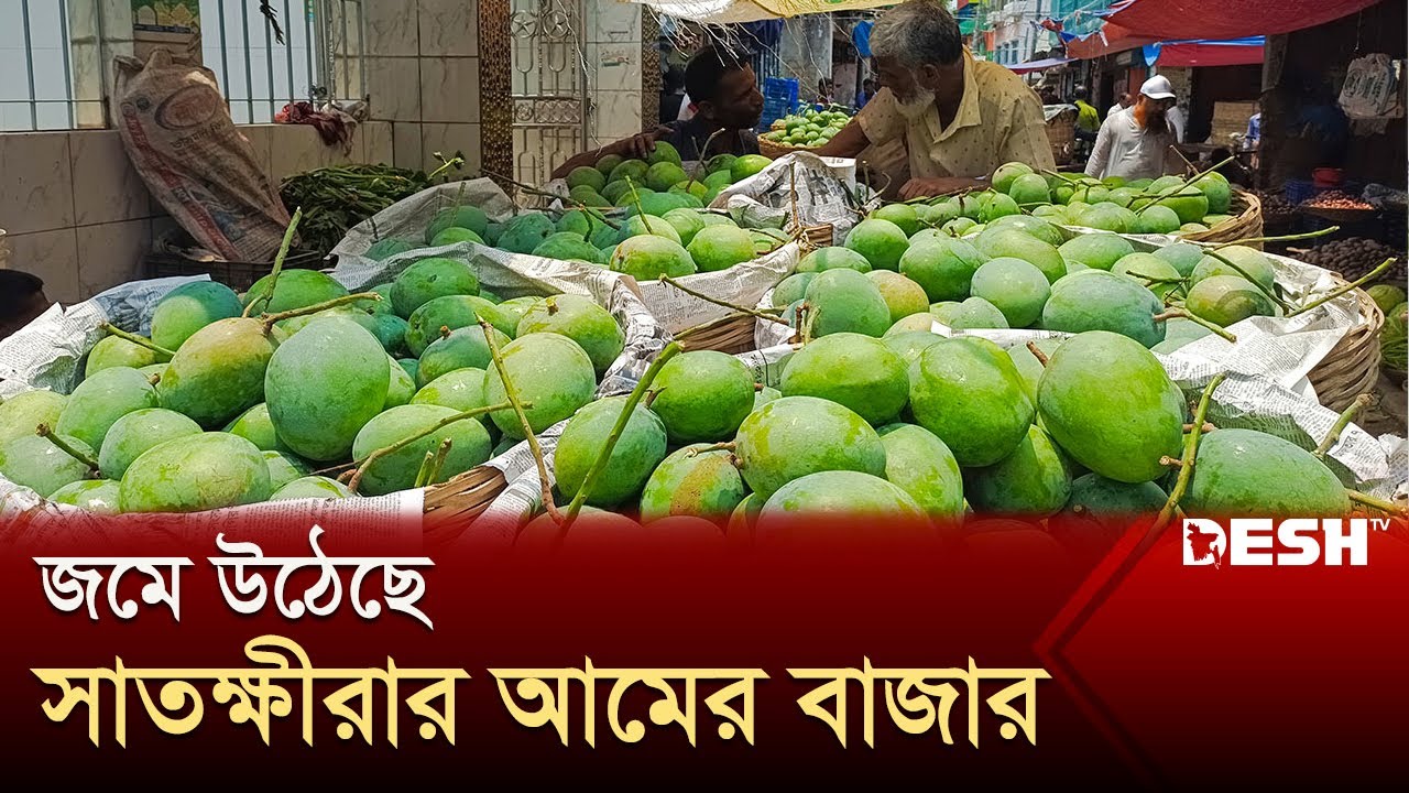 জমে উঠেছে সাতক্ষীরার আমের বাজার | Mango | Satkhira | Barisal | Desh TV