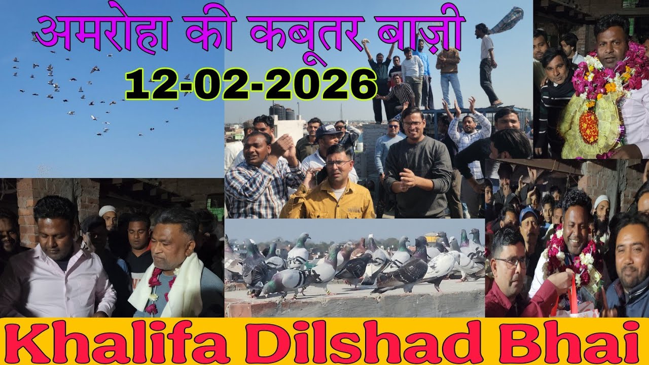 खलीफा दिलशाद भाई तालीम उस्ताद सुलेमान के कबूतर का शानदार शौक 12-02-2026. Amroha ki Kabootar bazi.