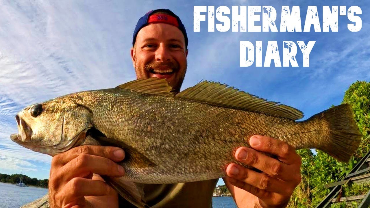 Pb Jewfish, Big Bream, Tailor, Trevally -  Rockwall Fishing ~ Fisherman's Diary Ep 685