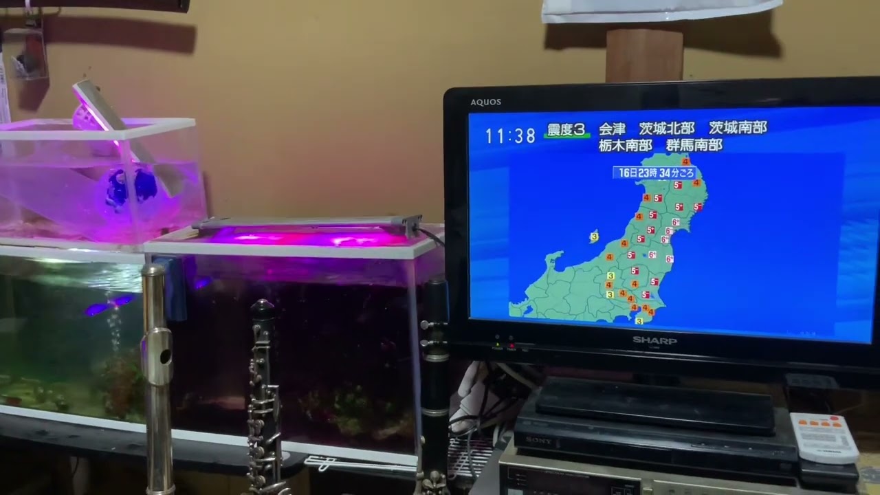 2022年3月16日　夜間の地震