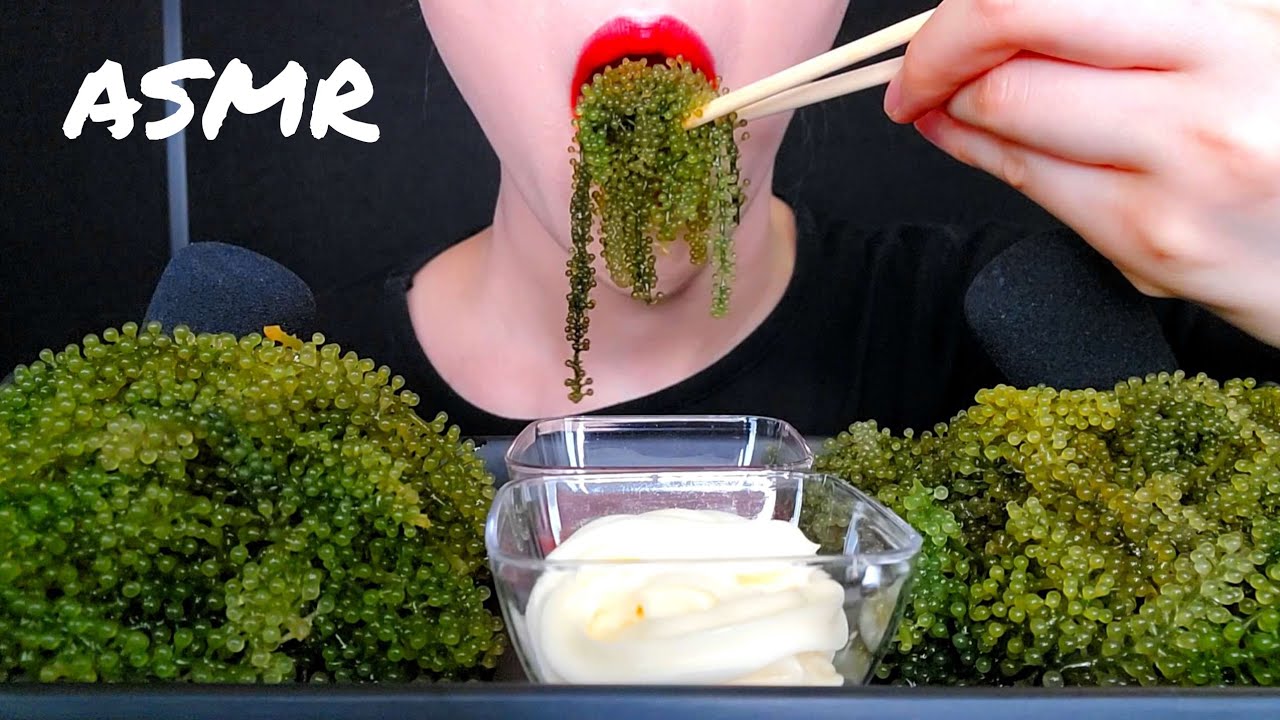 ASMR SEA GRAPES  바다포도 먹방  MUKBANG EATING SOUNDS  NO TALKING EATING SHOW