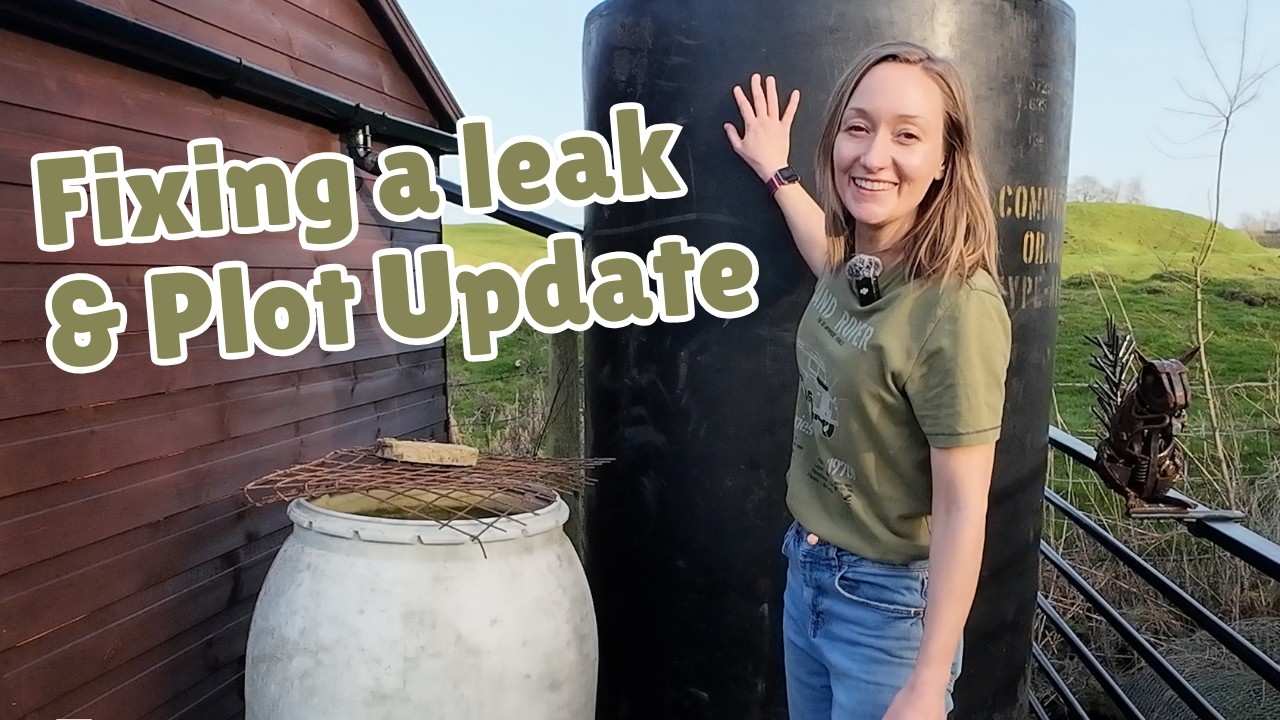 Allotment Update Tour & Fixing a Water Tank Leak | UK Allotment Gardening
