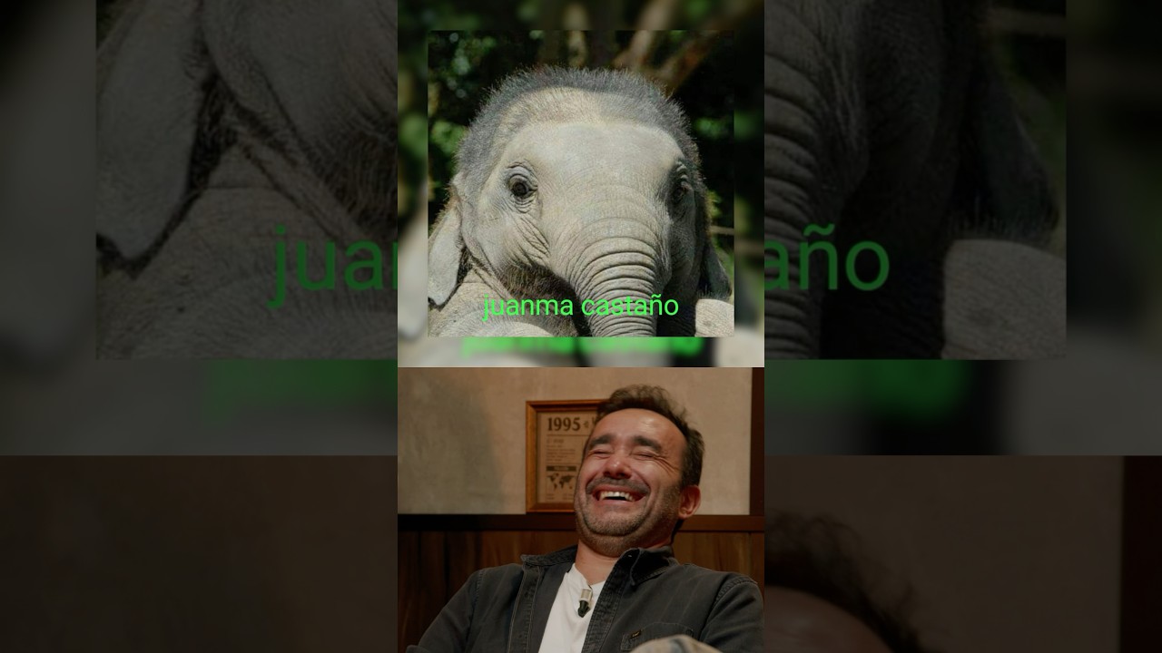 juanma casta&ntilde;o 🐘 #futbol #humor