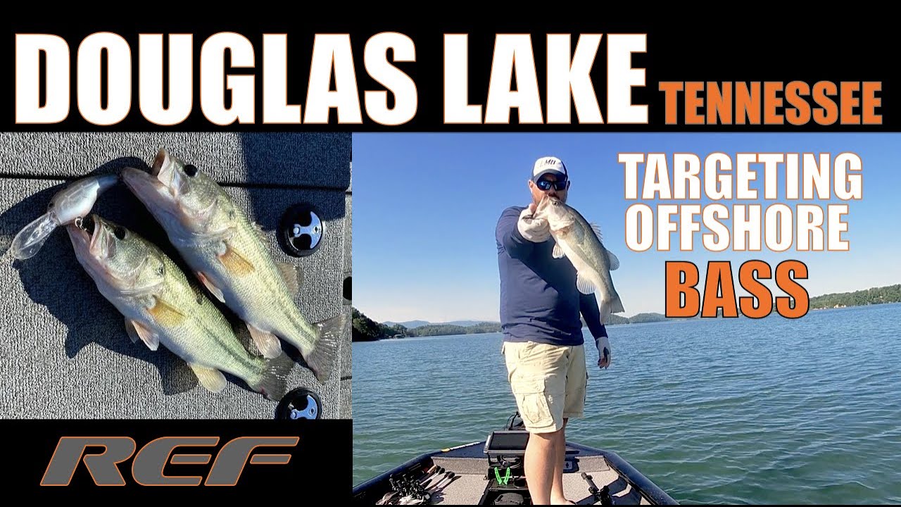 DOUGLAS LAKE: Beat the HEAT Fishing Deep Largemouth Bass