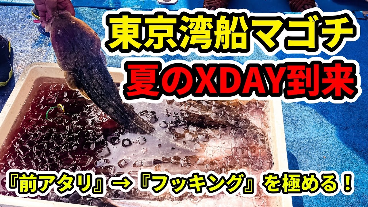 【東京湾マゴチ】夏のXDAY到来、『掛ける』を極めるマゴチ釣り【金沢八景一之瀬丸】