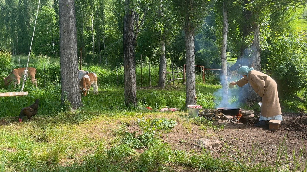 Dymdama on the Fire & Life in a Mountain Village 🏔️ Our Cows and Calves
