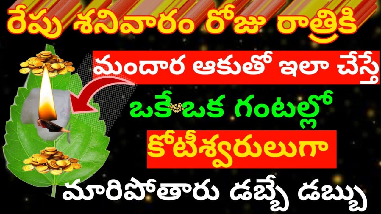  రేపు శనివారం రోజు రాత్రికి 😲 మందార ఆకుతో ఇలా చేస్తే ఒకే ఒక గంటలో  కోటీశ్వరులుగా మారిపోతారు ...