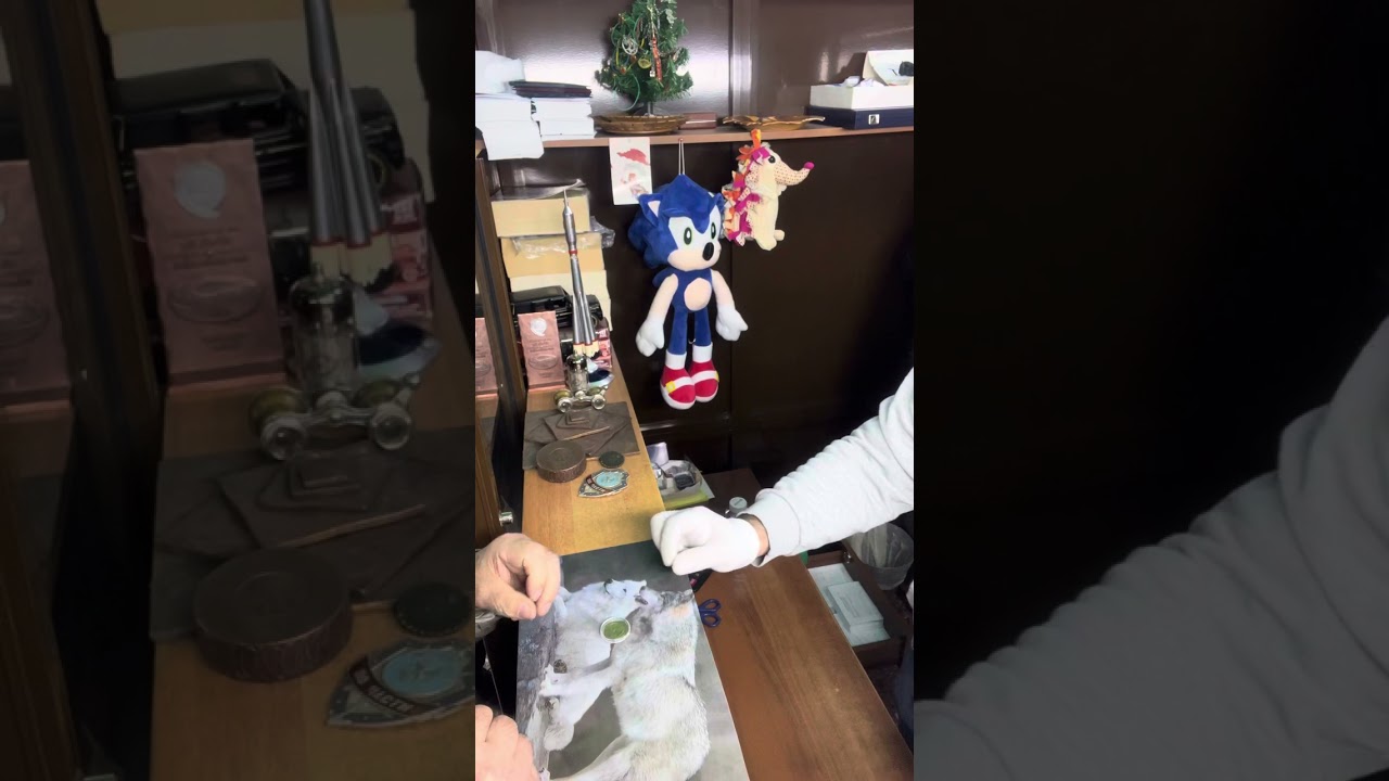 Монеты СССР 1947 г.