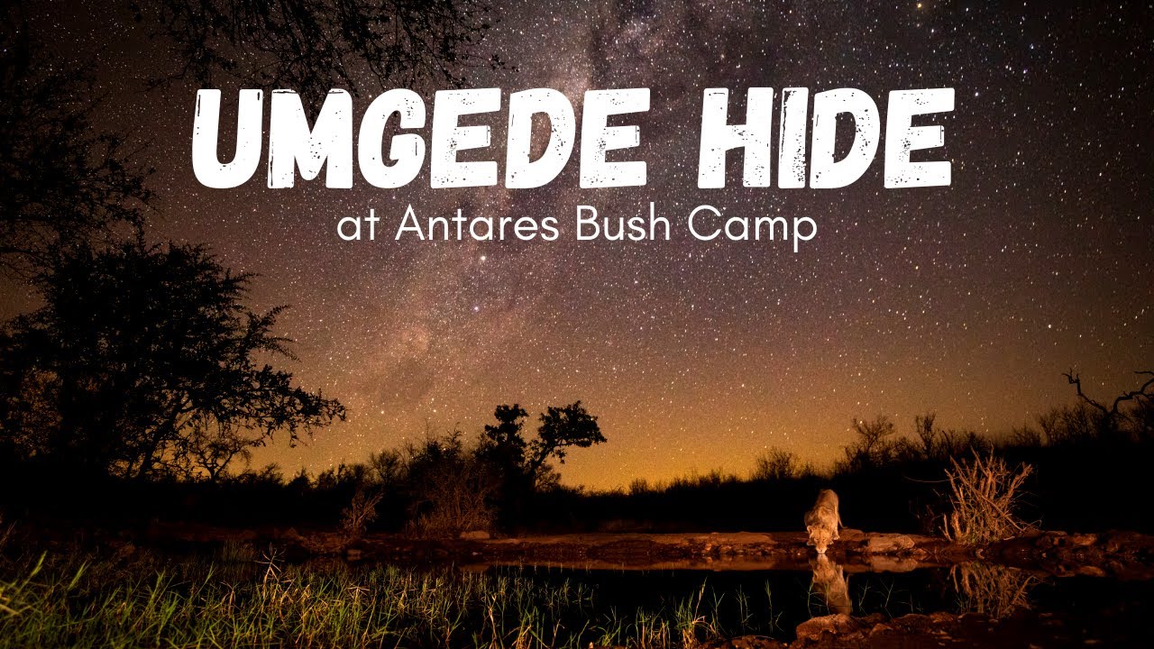 Umgede Underground Hide at Antares Bush Camp