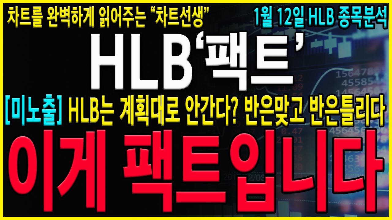 [HLB 주가 전망] 