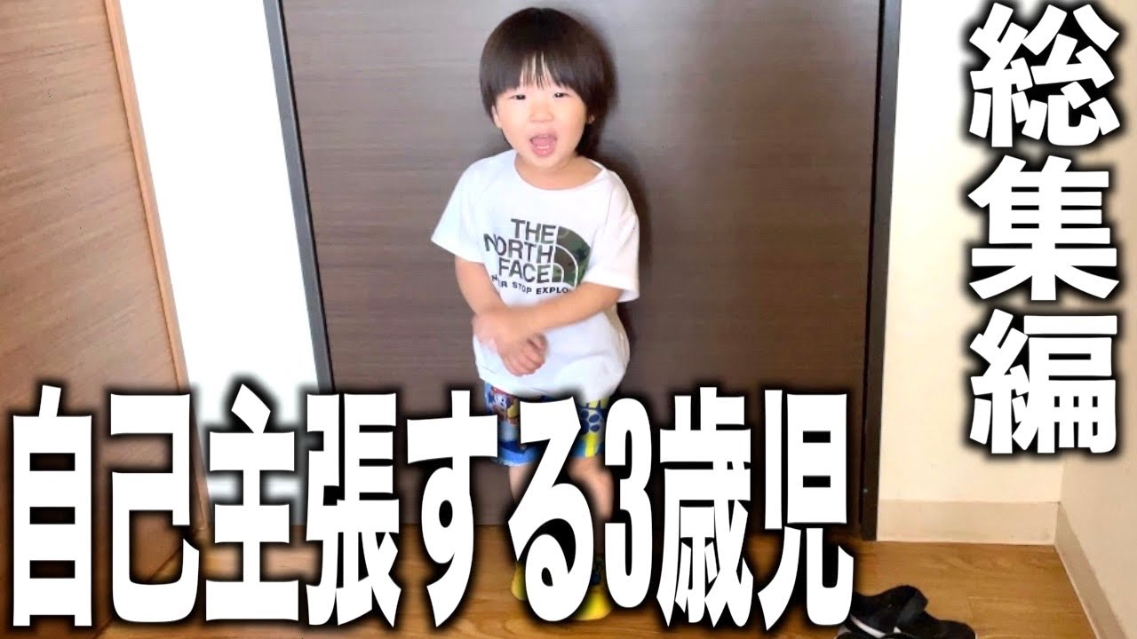 自我が爆発中の3歳児をまとめてみた~イヤイヤ期~