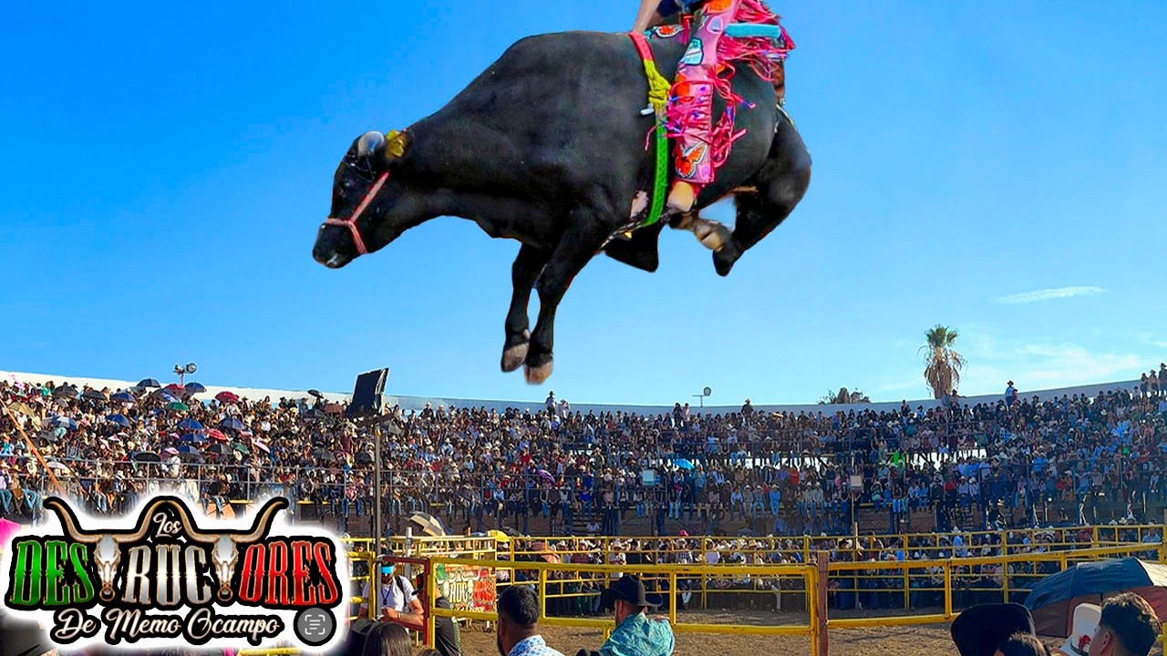 ¡¡SOBRECUPO PARA VER LOS TOROS DESTRUCTORES DE MEMO OCAMPO!! JARIPEO EN EL SABINO GTO 03 ENERO 2026