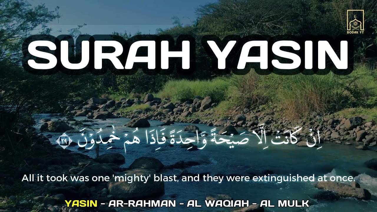 Quran for Deep Sleep | Al-Waqiah, Ar-Rahman, Yasin, Al-Mulk for Barakah