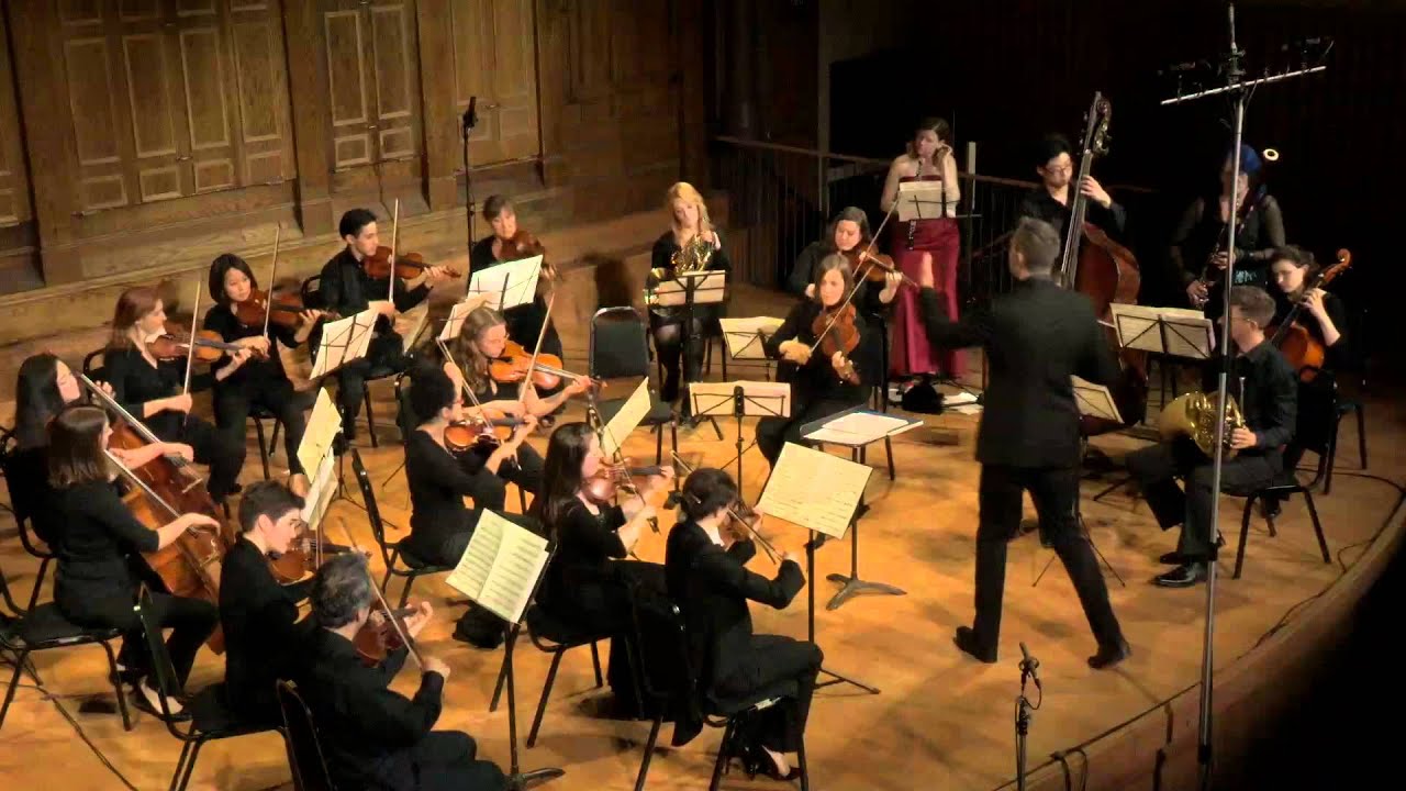 Group of 27 - Haydn Symphony 19