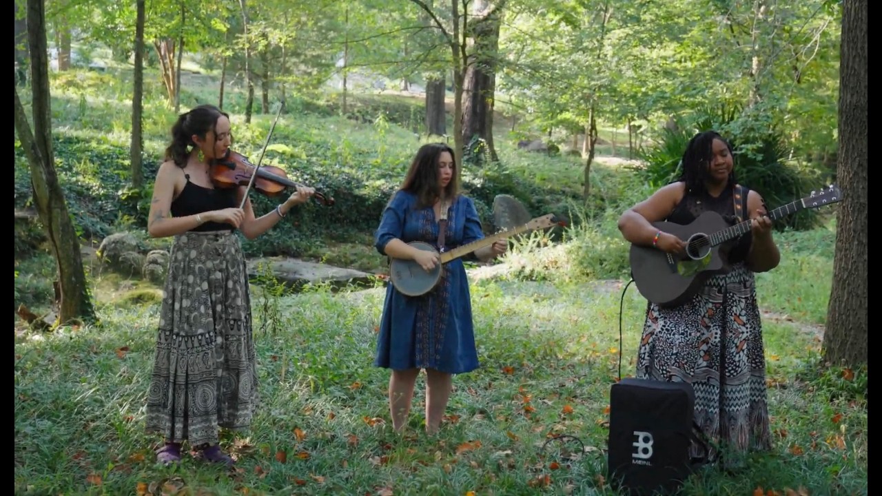 The Little Mercies - The Harvest