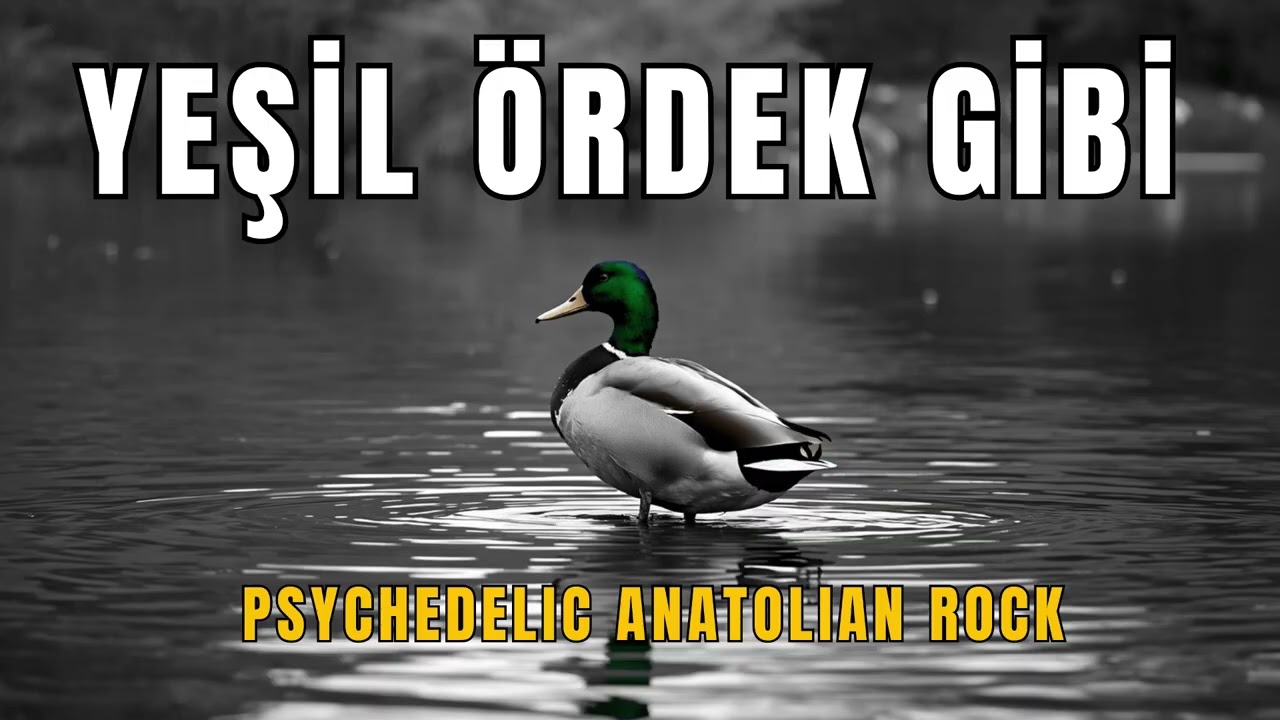 Yeşil Ördek Gibi | Psychedelic Rock Cover | 2026