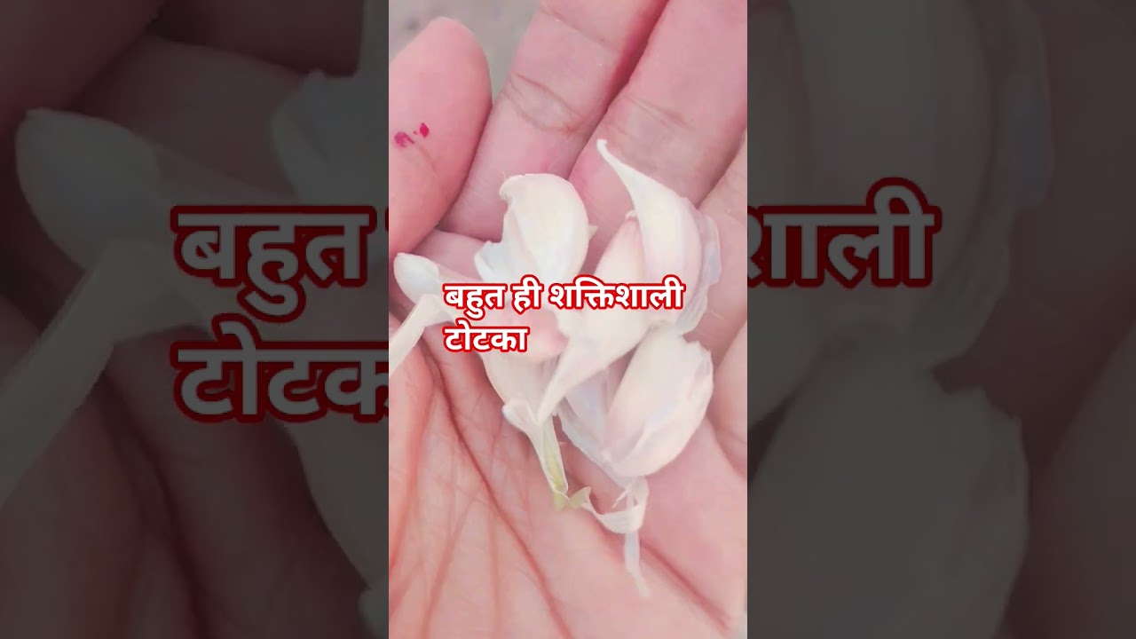 लडाई झगड़े कलह दूर होगा #shortvideo #kre bs ये उपाय