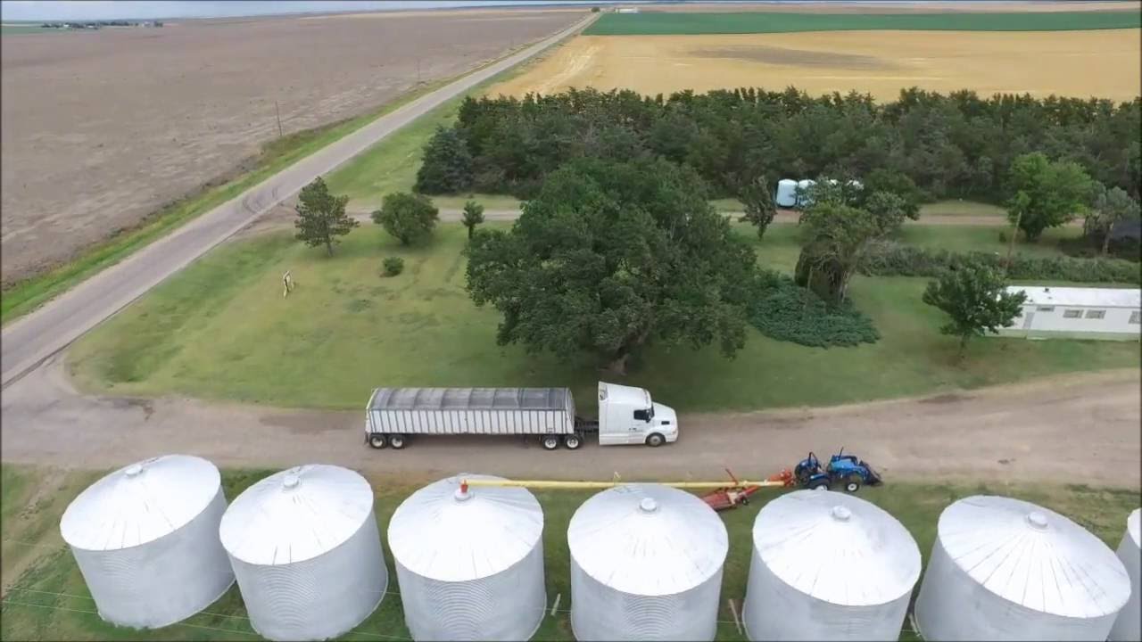 Wheat Harvest 2016