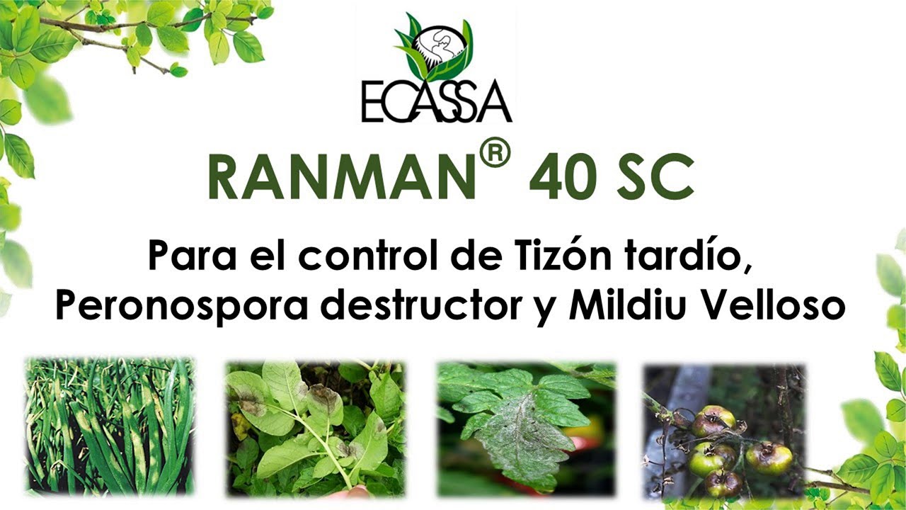 Ranman®  40 SC
