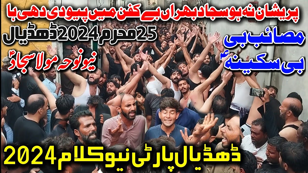 Dhudial Party Nohay 2024 | Preshan Na Ho Sajjad Bhira | 25 Muharram Dhudial | Bibi Sakina Noha 2024