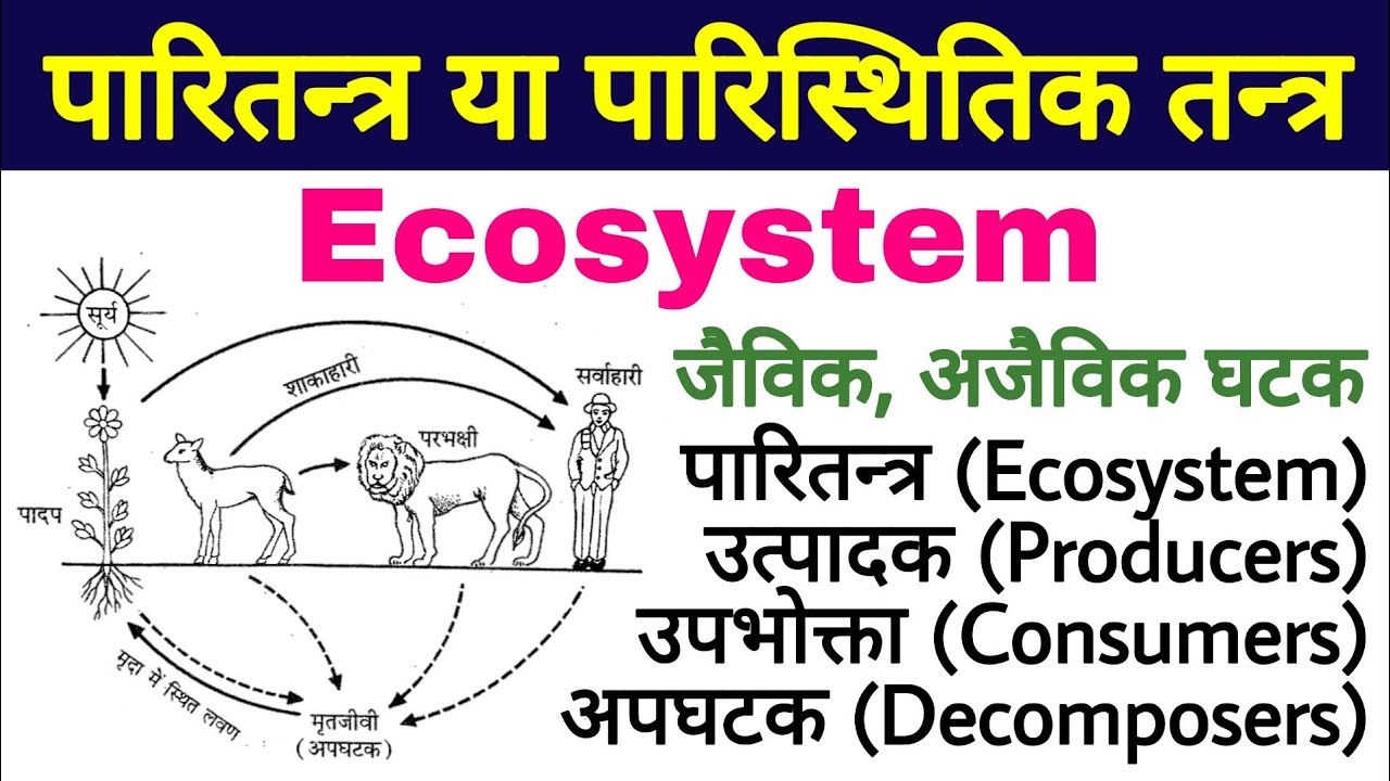 पारितंत्र या पारिस्थितिक तंत्र | ecosystem | types of ecosystem | paritantra | paristhitiki tantra