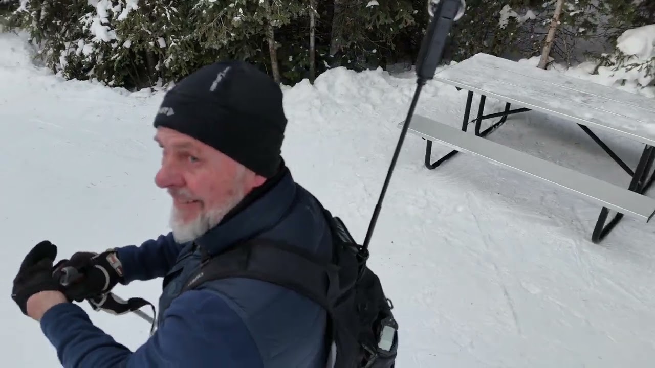Ski PLPP 29 01 263