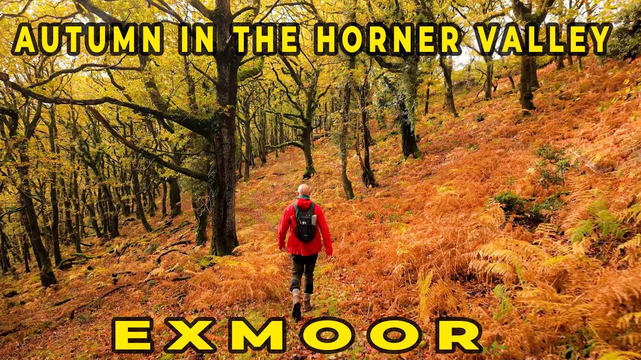Autumn in the spectacular Horner Valley on Exmoor