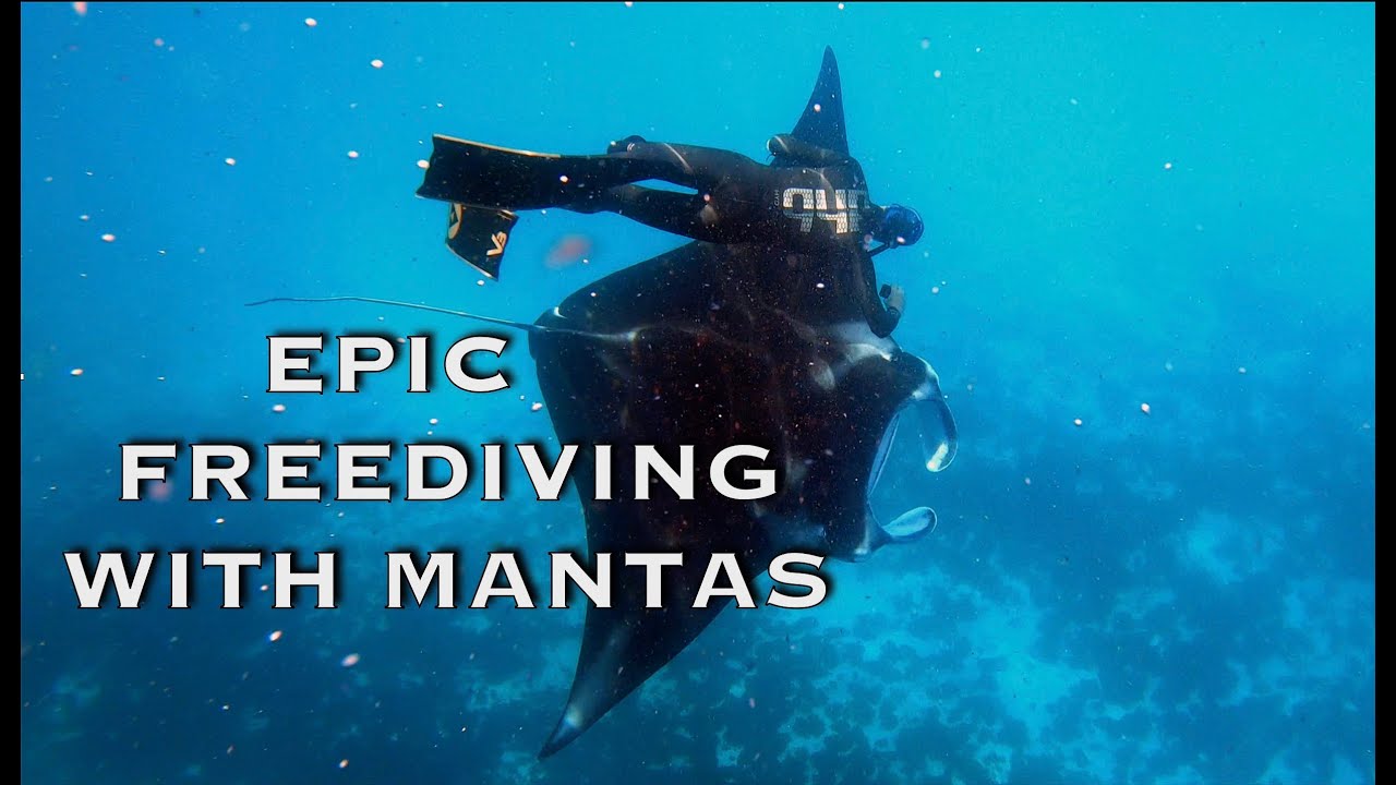 Epic Freediving with huge Mantas - dream or otherworldly reality!