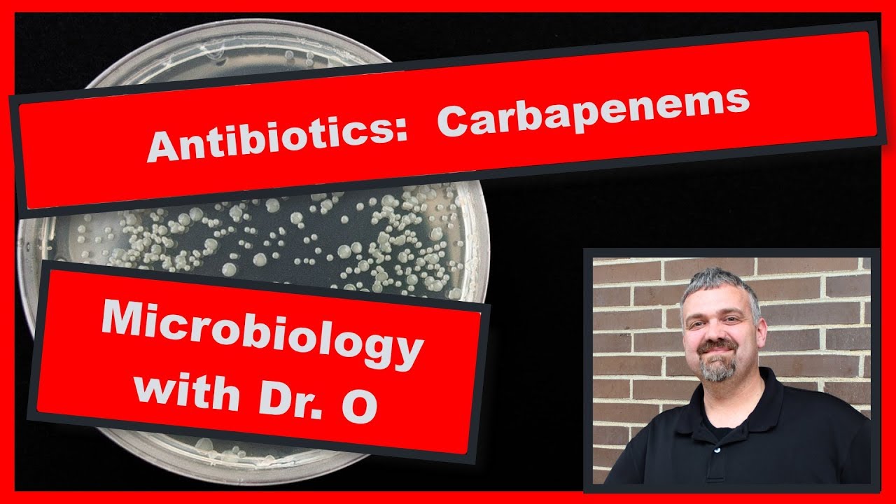 Carbapenem Antibiotics and CRE:  Microbiology
