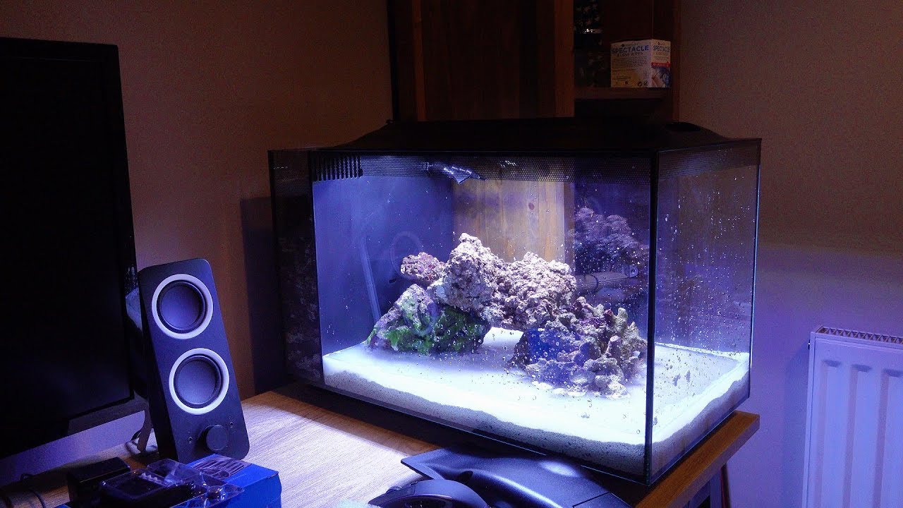 Building A NANO Reef Aquarium Part 6, Filling and Comissioning the system!